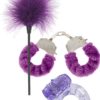 fantastic_purple-sex_toy_kit_3
