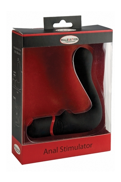 anal_stimulator-malesation_2